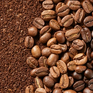 XenBurn Metabolic Support Blend