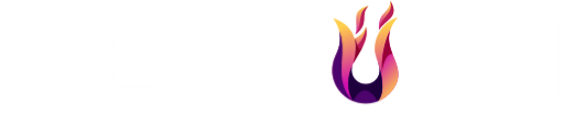 XenBurn logo